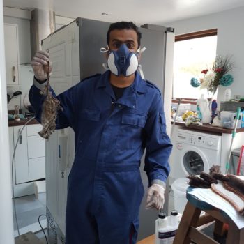 Liverpool Pest Control