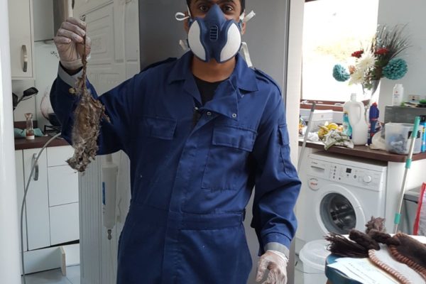 Liverpool Pest Control